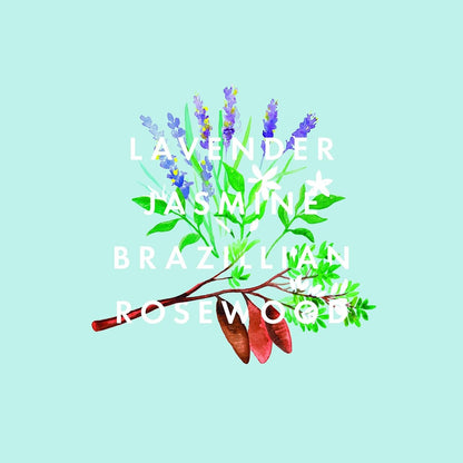 Aromatic Sticks for any Room increase your senses. - Arythmos Ena